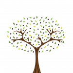 bigstock-olive-tree-5678352