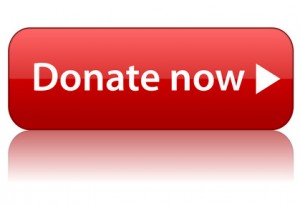 war_Donate_button
